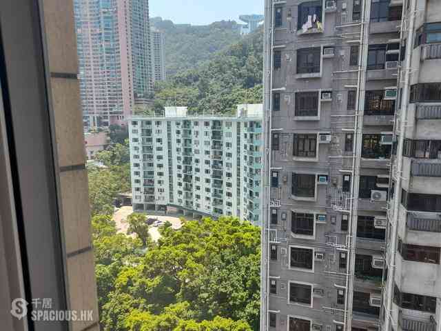 中半山 - 正大花園 06