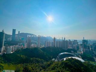 Jardines Lookout - Cavendish Heights 03