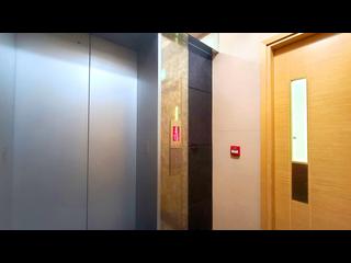 Sai Ying Pun - High Park 99 23