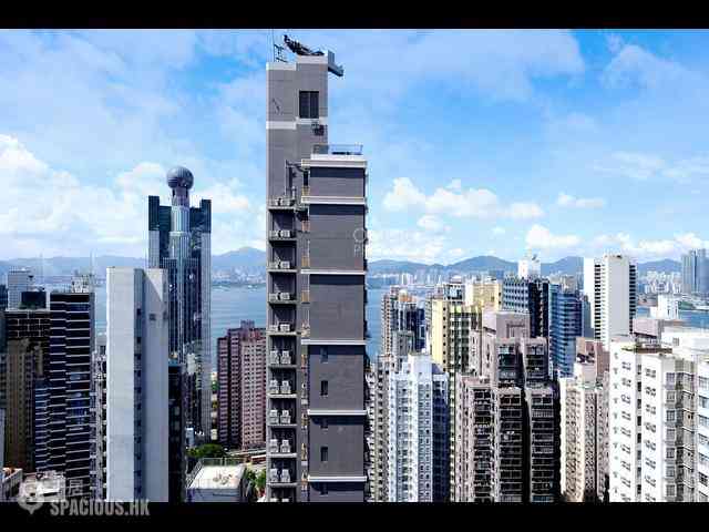 Sai Ying Pun - High Park 99 28