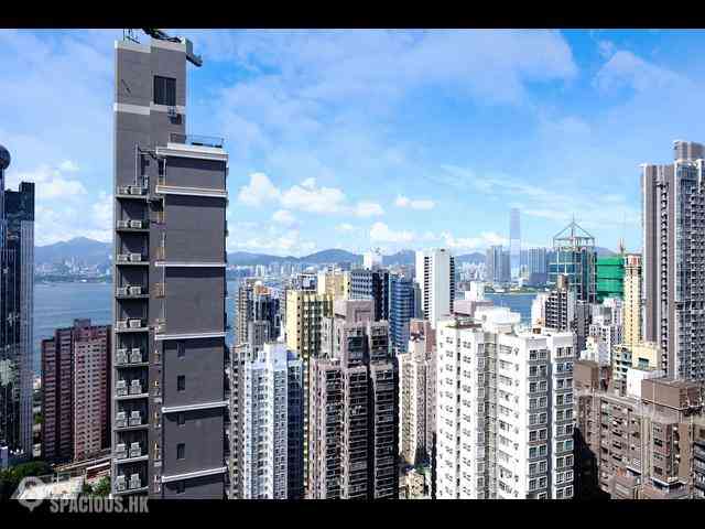 Sai Ying Pun - High Park 99 29