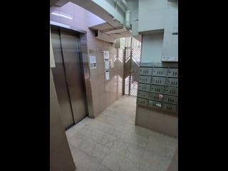 Mid Levels West - Po Yuen 02