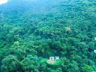 中半山 - 晓峰阁3座 02