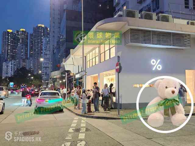 Kennedy Town - Manhattan Heights 21
