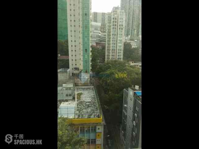 Poho - Rich View Terrace 01