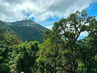 The Peak - Barker Villa 02