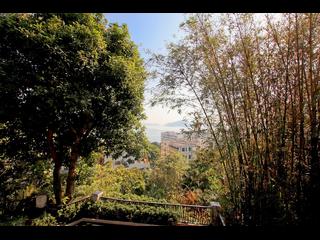 Mui Wo - Fu Kong Shan Road 17