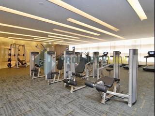 Sai Ying Pun - Island Crest 11