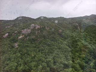 大坑 - 上林 09