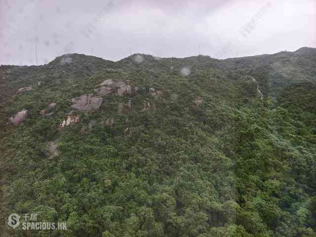 大坑 - 上林 09