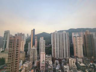 Tai Hang - The Warren 07