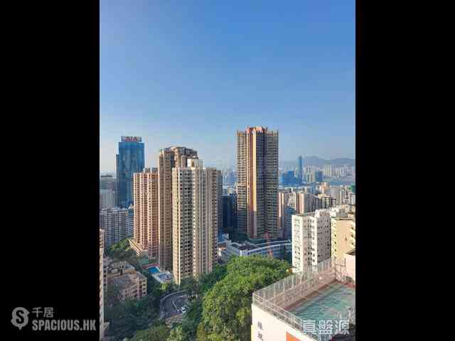 寶馬山 - 海景台 13