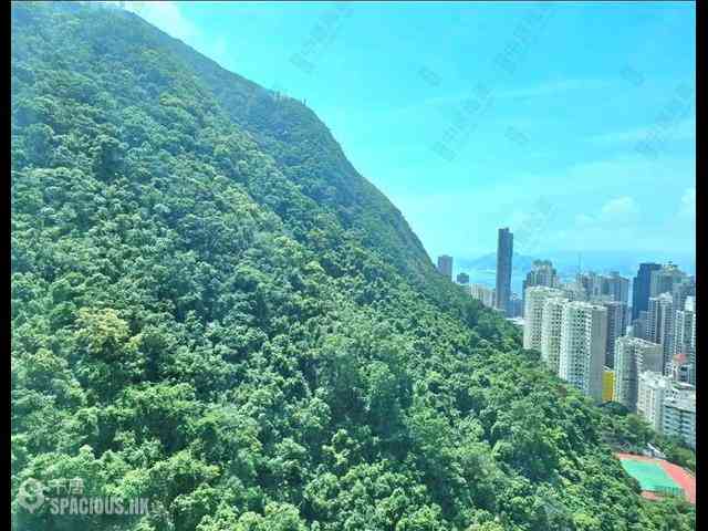 中半山 - 晓峰阁1座 06