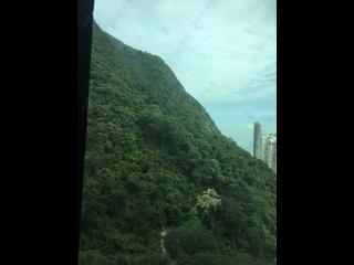 中半山 - 晓峰阁2座 24