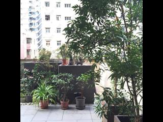 Sai Ying Pun - Grand Scholar 10