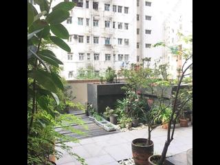 Sai Ying Pun - Grand Scholar 11