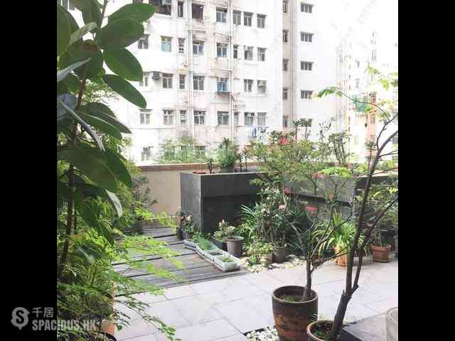Sai Ying Pun - Grand Scholar 11