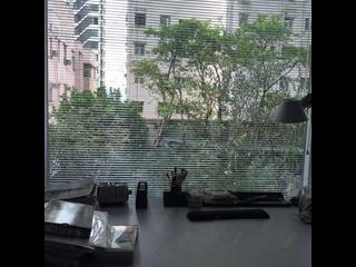 Sai Ying Pun - Grand Scholar 14