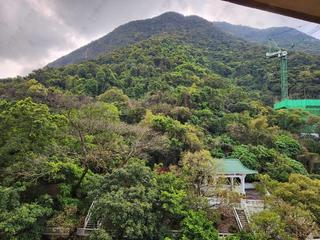 西半山 - 聯邦花園 倫敦閣 (1座) London Court 09