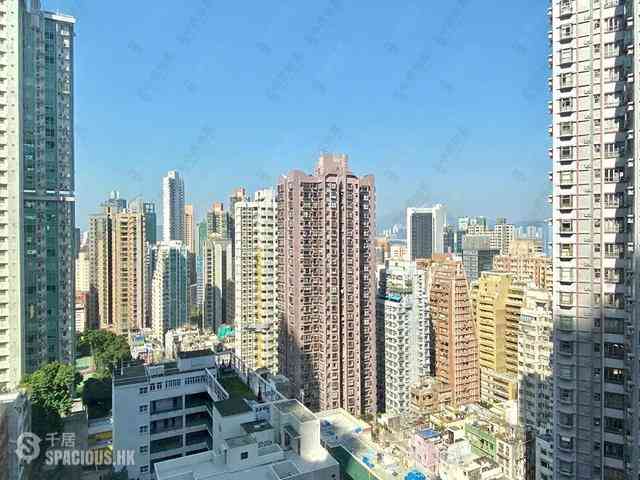 苏豪 - 坚苑 02