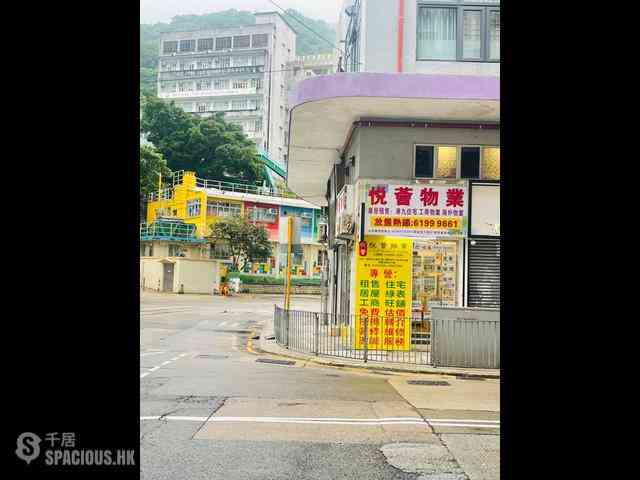 Shau Kei Wan - Island Garden Block 2 17