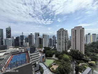 中半山 - 21 Borrett Road 10