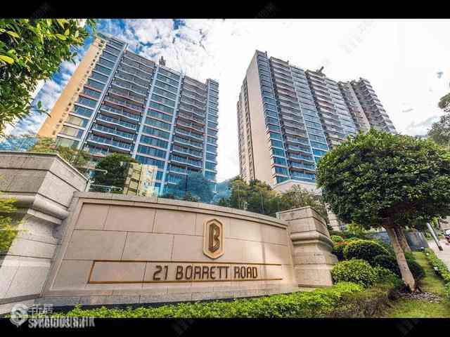 中半山 - 21 Borrett Road 11