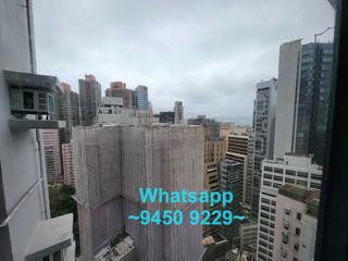 上环 - 丽雅苑 11