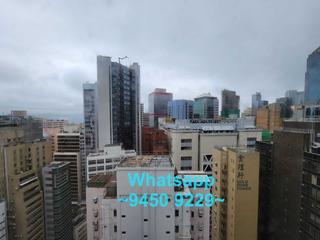 上环 - 丽雅苑 12
