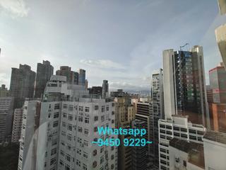 上环 - 丽雅苑 16