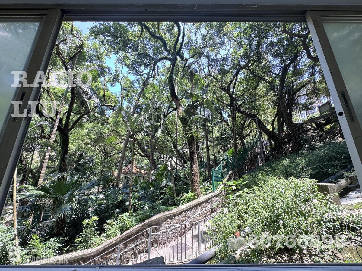 西半山 - 豪华大厦 01