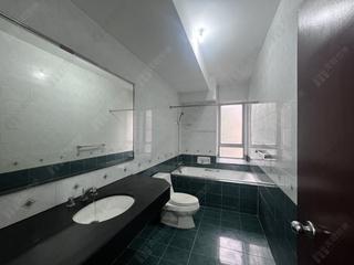 Mid Levels Central - Tregunter Tower 3 12