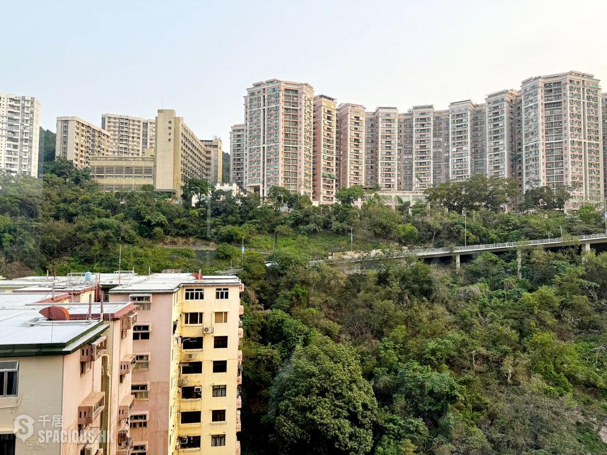 北角 - 柏蔚山 01