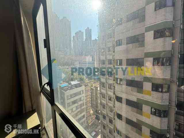 Poho - Rich View Terrace 11