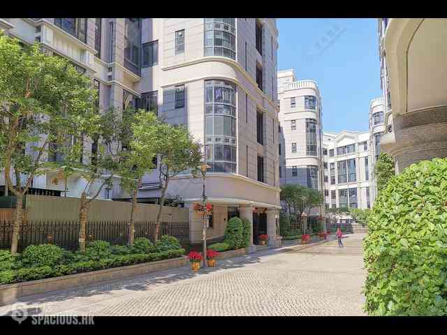 油麻地 - 京士柏山5座 (80号) 16