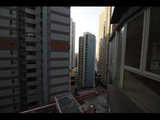 中半山 - The Icon 08