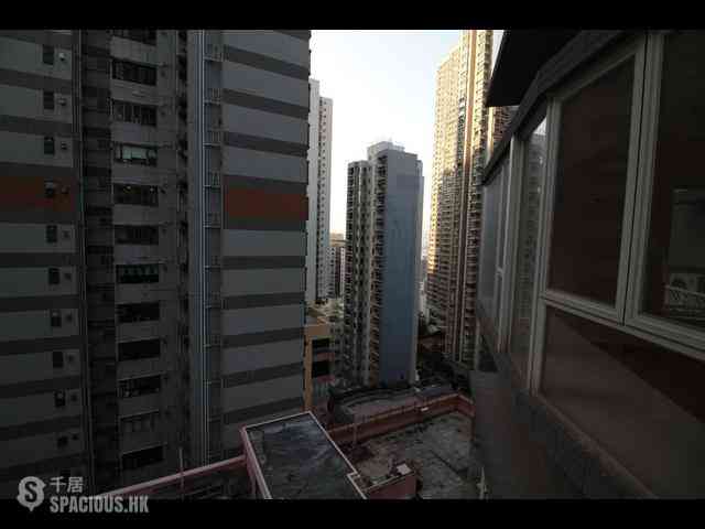 中半山 - The Icon 08