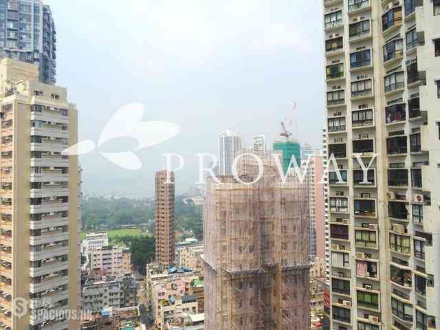 Tai Hang - Y.I 02