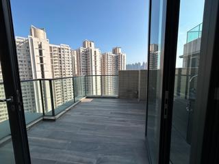 将军澳 - 天晋 14