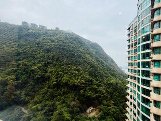 Mid Levels Central - Tregunter Tower 3 04