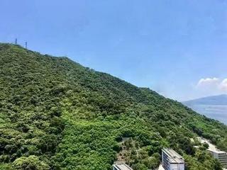 堅尼地城 - 浚峯 05