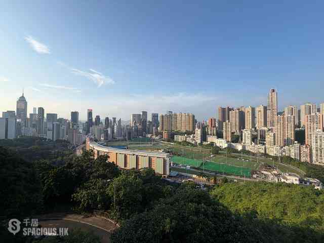 Stubbs Road - 24, Tung Shan Terrace 01