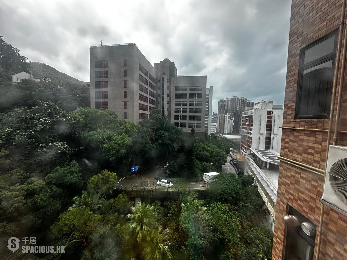 Mid Levels West - Elegant Garden 01