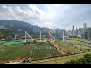 Happy Valley - Race Tower 02