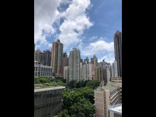 Sai Ying Pun - Macro Garden 04