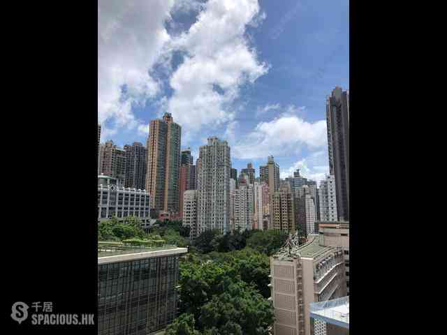 Sai Ying Pun - Macro Garden 04