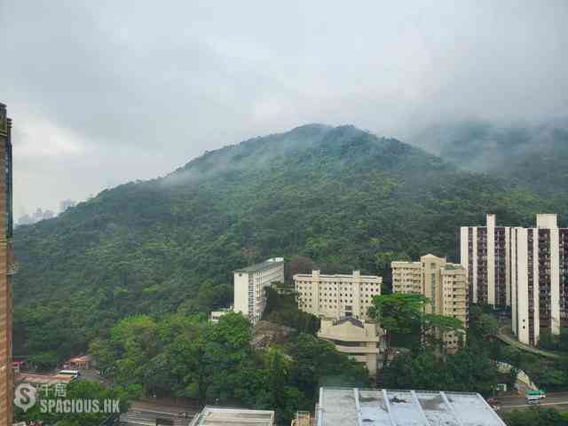 堅尼地城 - 翰林軒 11