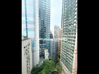 上環 - 帝后華庭 03