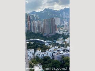 Tai Hang - The Legend 06