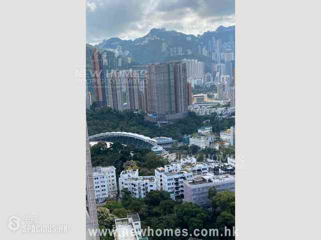 Tai Hang - The Legend 06